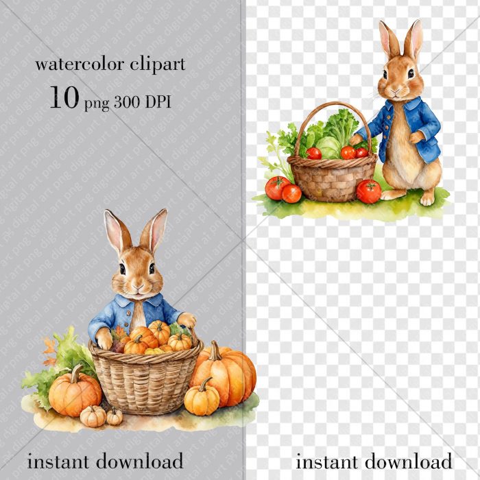 Peter Rabbit png set, Thanksgiving Day