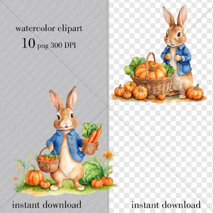 Peter Rabbit png set, Thanksgiving Day