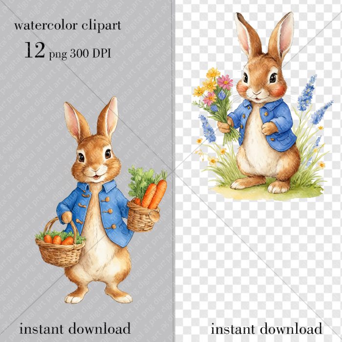 Peter Rabbit Watercolor clipart