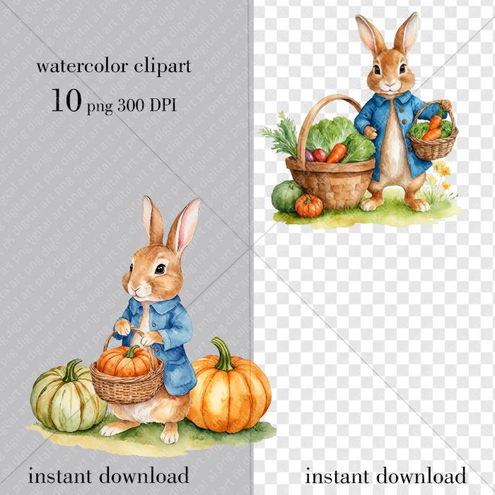 Peter Rabbit png set, Thanksgiving Day