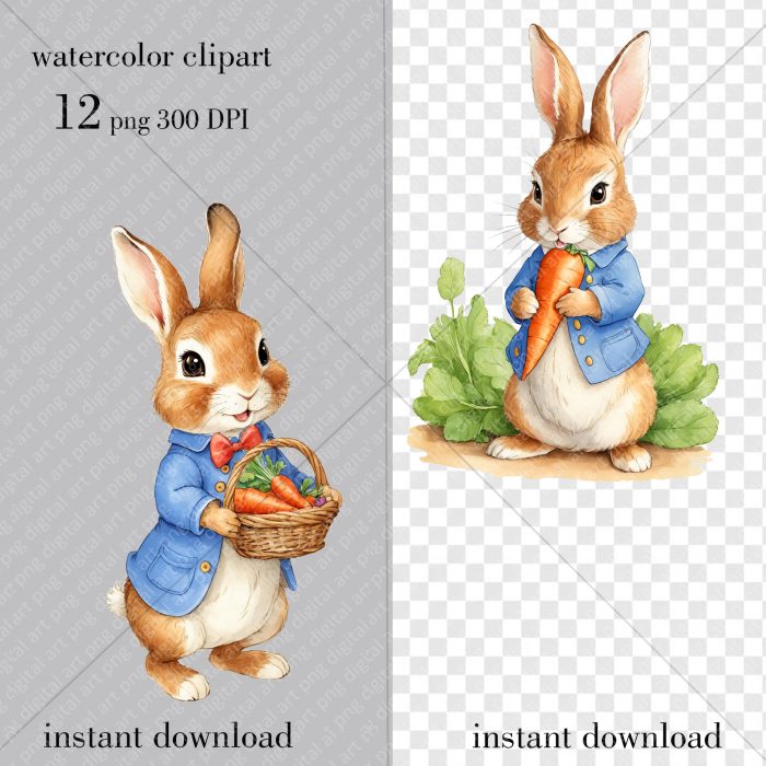 Peter Rabbit Watercolor clipart