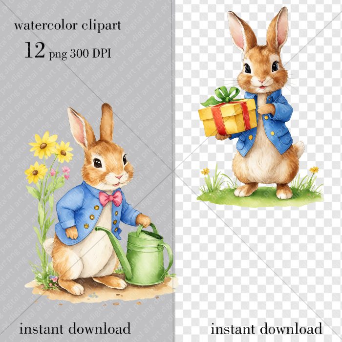 Peter Rabbit Watercolor clipart