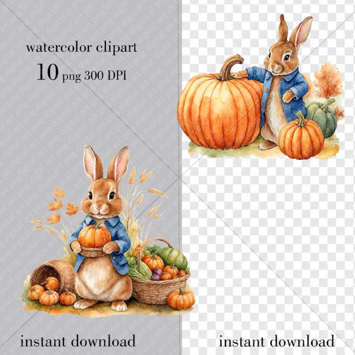 Peter Rabbit png set, Thanksgiving Day