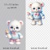Baby Bear png