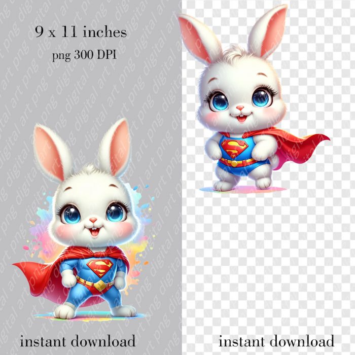 Superhero Bunny