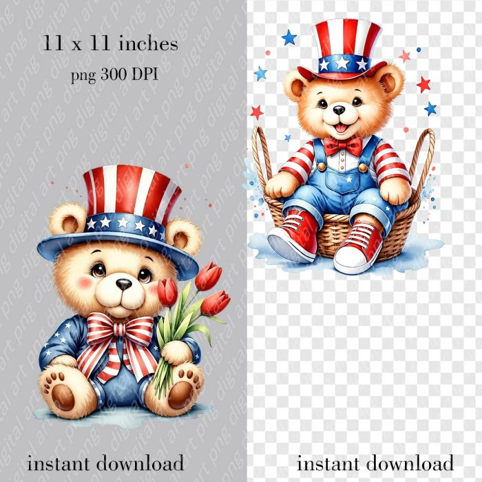 Patriotic Teddy Bear