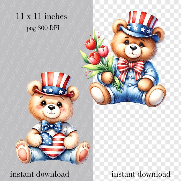 Patriotic Teddy Bear