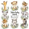 Safari Baby Animals Clipart