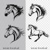 Horse SVG Bundle