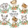 African Baby Animals