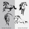 Horse SVG Bundle