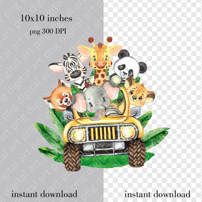 Safari jeep