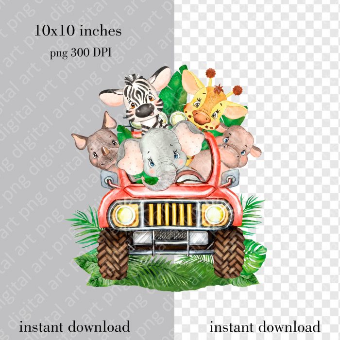 Safari jeep