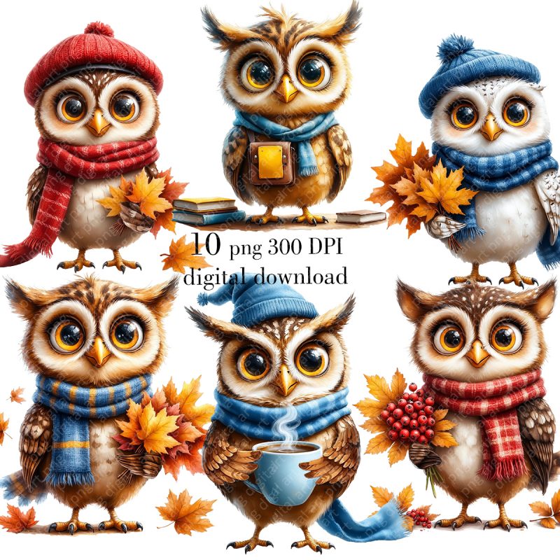 Autumn Owls Clipart